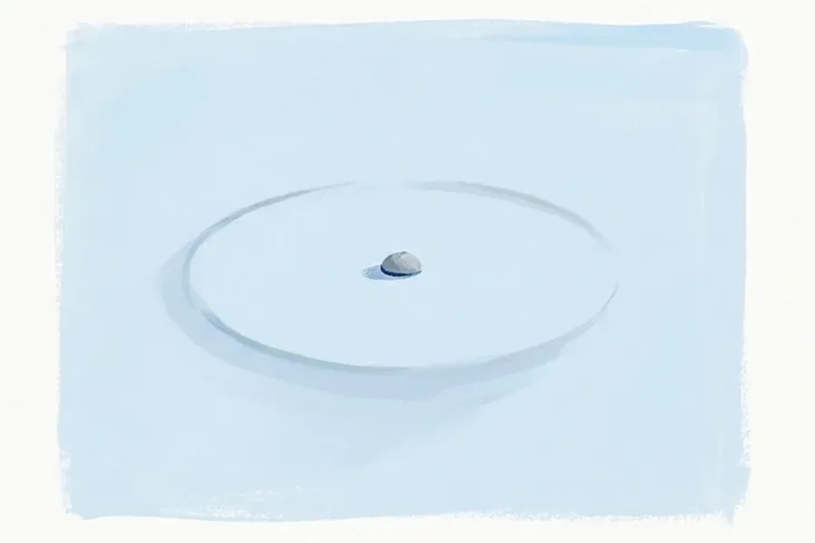 Viewed from above, a pale blue water surface has a tiny gray pebble at center and one faint ripple ring.