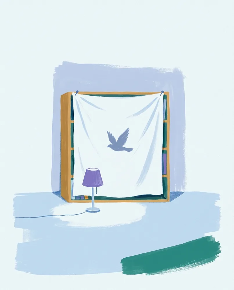 A white sheet pinned across a bookcase catches the shadow of a flying bird from a floor lamp below.