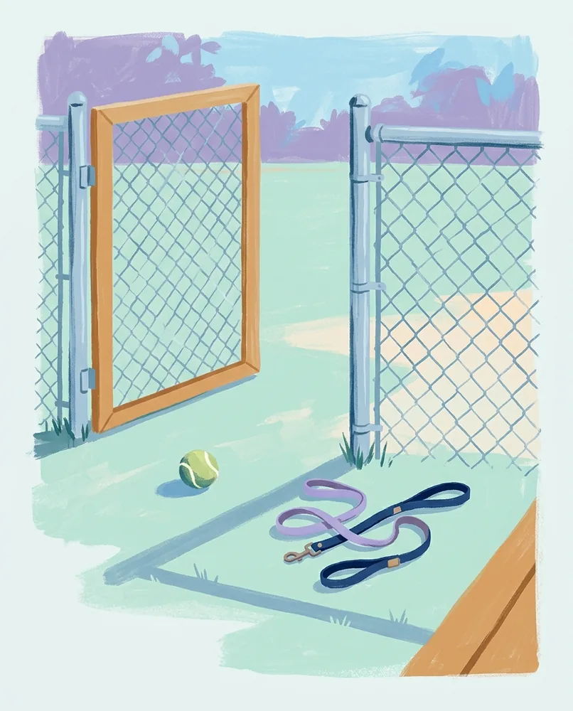 A tennis ball rests in cut grass beside two tangled leashes, with the park gate standing wide open.